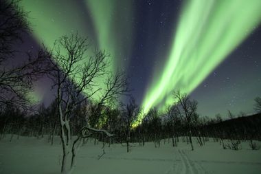 Northern Lights Tromso 