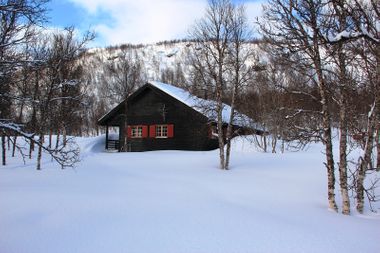 Winter Tromso