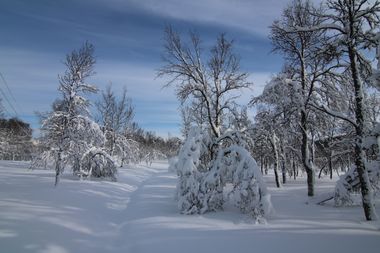 Winter Tromso